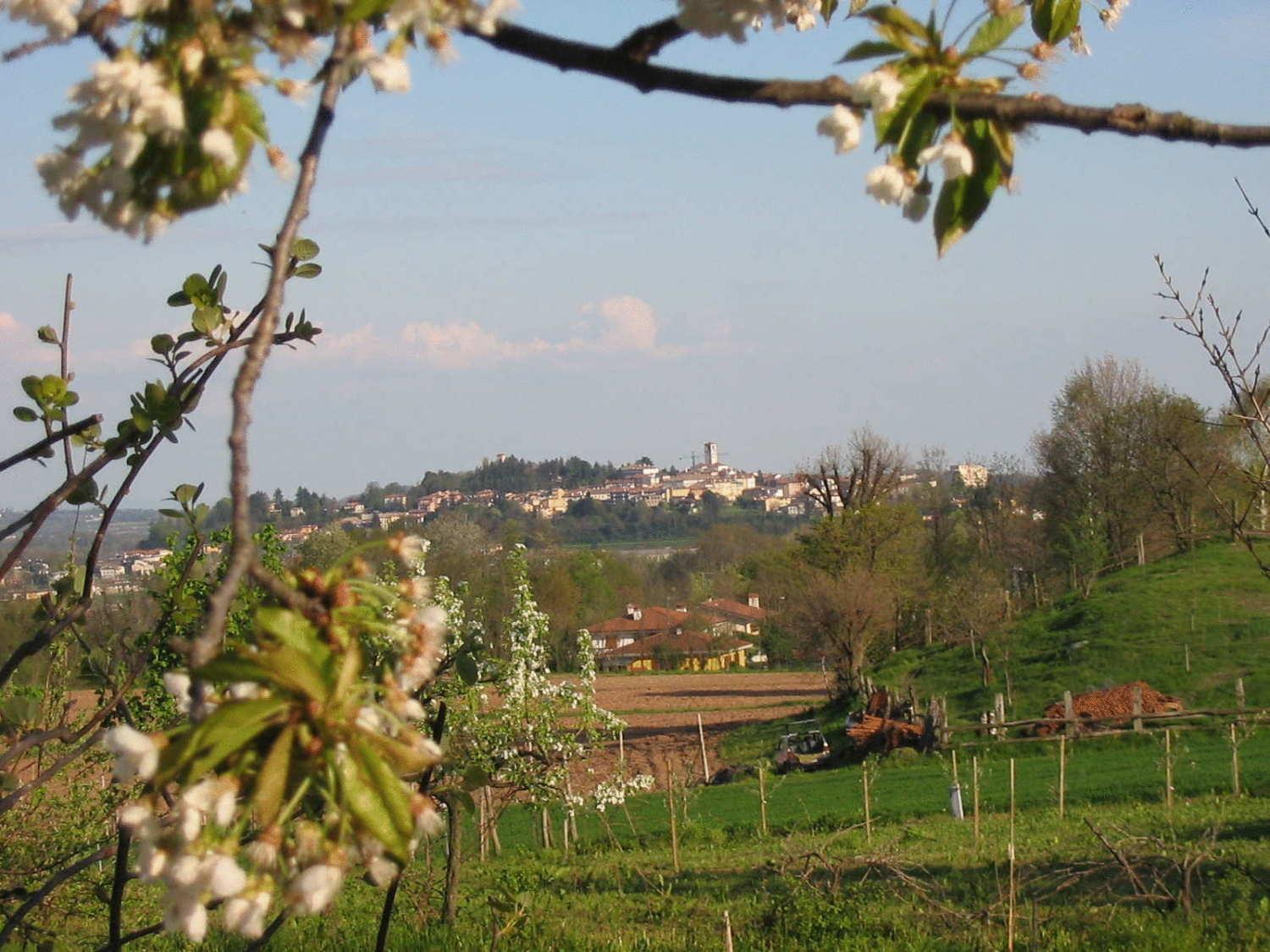 Agriturismo Casa Rossa Ai Colli Ragogna Екстериор снимка