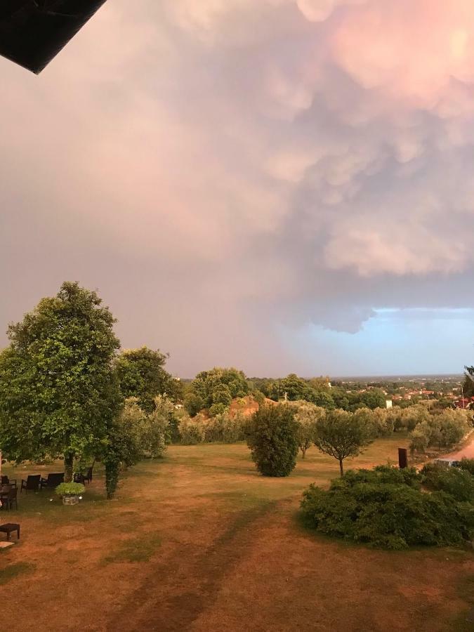 Agriturismo Casa Rossa Ai Colli Ragogna Екстериор снимка