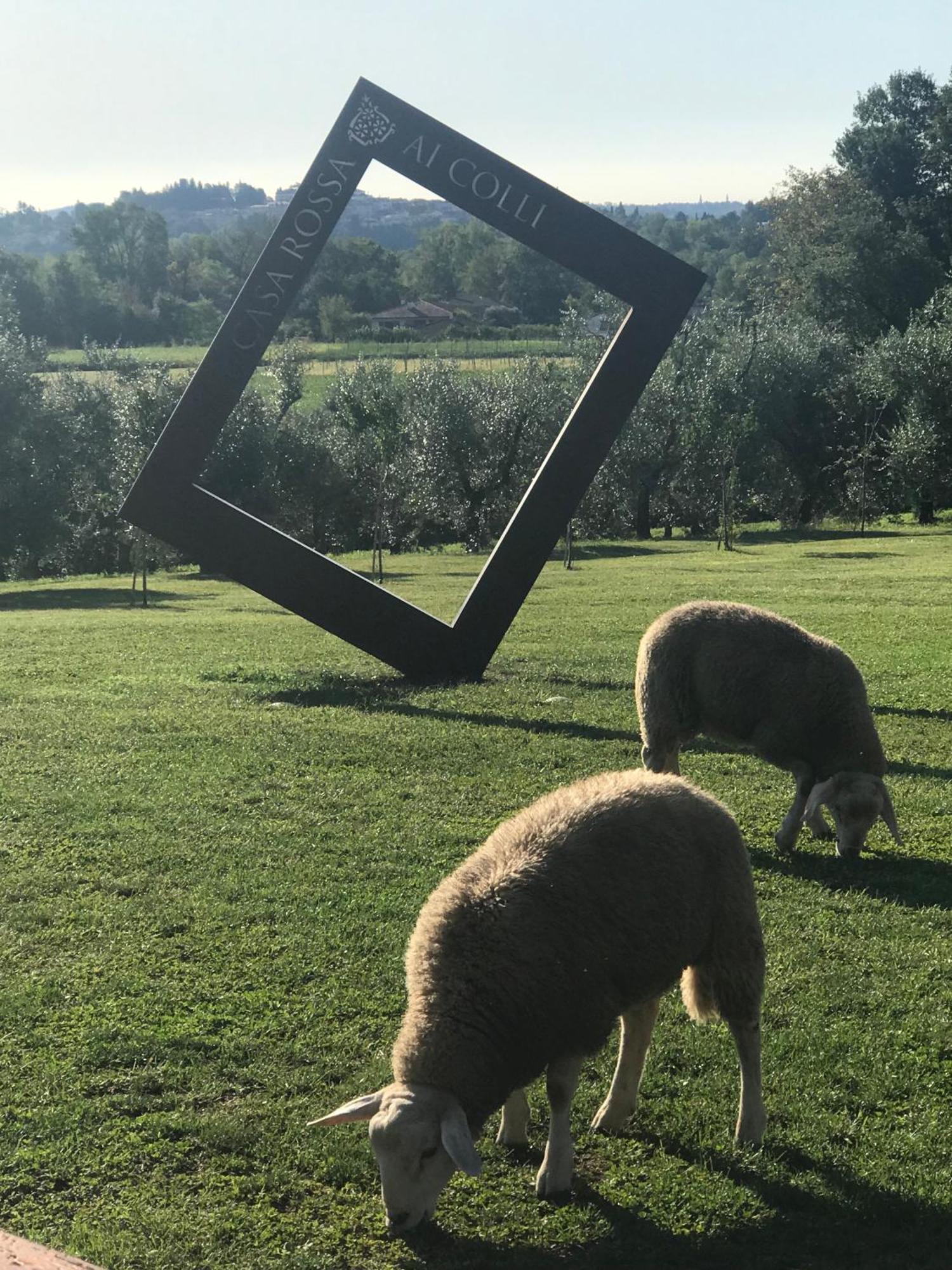 Agriturismo Casa Rossa Ai Colli Ragogna Екстериор снимка